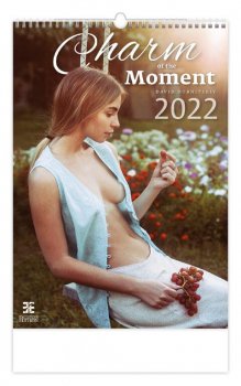 Kalendář nástěnný 2022 - Charm of the Moment 