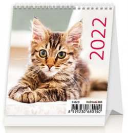 Kalendář stolní 2022 - Mini Kittens