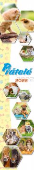 Kalendář 2022 - Přátelé, nástěnný