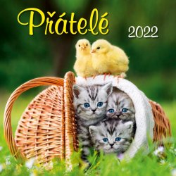 Kalendář 2022 - Přátelé, nástěnný