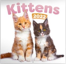 Kalendář 2022 poznámkový: Koťata, 30 × 30 cm
