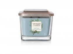 YANKEE CANDLE Coastal Cypress svíčka 347g, 3 knoty