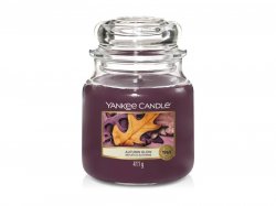 YANKEE CANDLE Autumn Glow svíčka 411g 