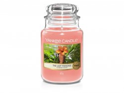 YANKEE CANDLE The Last Paradise svíčka 623g