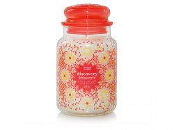 YANKEE CANDLE Disscovery 2021 svíčka 623g