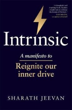 Intrinsic : A manifesto to reignite our inner drive