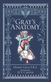 Gray´s Anatomy (Barnes & Noble Collectible Classics: Omnibus Edition)