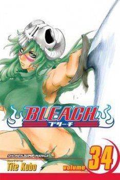 Bleach 34 (anglicky)
