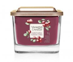 YANKEE CANDLE Candied Cranberry svíčka 96g / 1knot