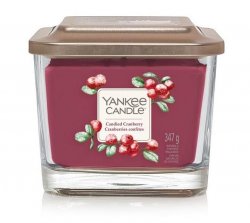 YANKEE CANDLE Candied Cranberry svíčka 347g / 3knoty