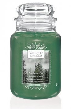 YANKEE CANDLE Evergreen Mist svíčka 625g