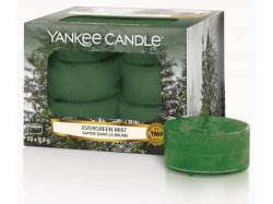 YANKEE CANDLE Evergreen Mist svíčka 9,8g čajová 12ks