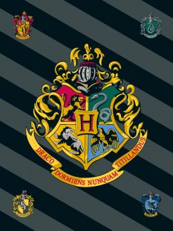 Fleecová deka - Harry Potter/černá