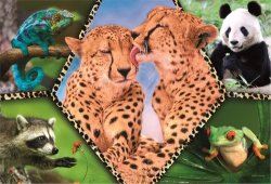 Puzzle Animal Planet: Krásná příroda 100 dílků