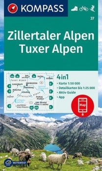 Zillertaler Alpen/Tuxer A     37  NKOM