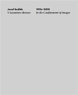 V karanténe obrazov 1976-2010 In the Confinement of Images