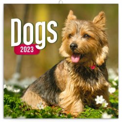 Kalendář 2023 poznámkový: Psi, 30 × 30 cm