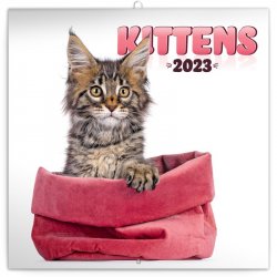 Kalendář 2023 poznámkový: Koťata, 30 × 30 cm
