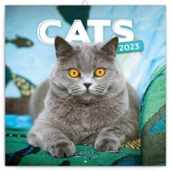 Kalendář 2023 poznámkový: Kočky, 30 × 30 cm