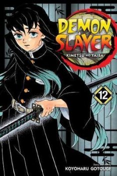 Demon Slayer: Kimetsu no Yaiba 12