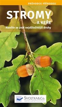 Stromy a keře - Naučte se znát nejdůležitější druhy