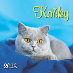 Kalendář 2023 Kočky, nástěnný