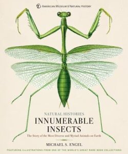 Innumerable Insects : The Story of the Most Diverse and Myriad Animals on Earth