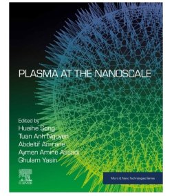 Plasma at the Nanoscale, 1st Edition