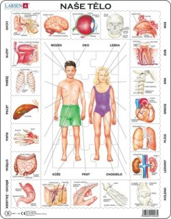 Puzzle Naše tělo