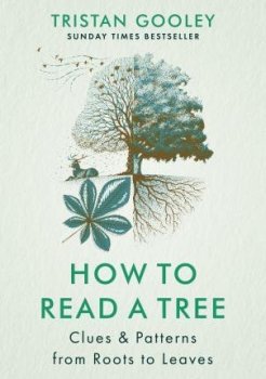 How to Read a Tree : Clues & Patterns from Roots to Leaves