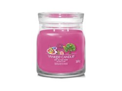 YANKEE CANDLE Art in the Park svíčka 368g / 2 knoty (Signature střední)