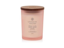 Vonná svíčka CHESAPEAKE BAY CANDLE Stillness & Purity 250g