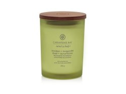 Vonná svíčka CHESAPEAKE BAY CANDLE Awaken & Invigorate 250g