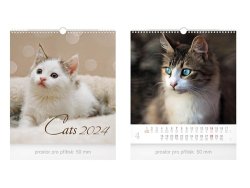 Malý Cats 2024 - nástěnný kalendář