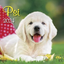 Psi 2024 - nástěnný kalendář