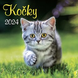 Kočky 2024 - nástěnný kalendář