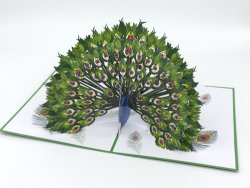 3D přání Peacock Majesty