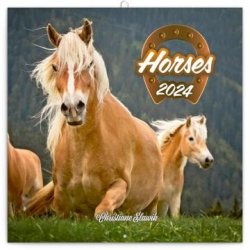 Kalendář 2024 poznámkový: Koně - Christiane Slawik, 30 × 30 cm (západní verze)