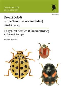 Brouci čeledi slunéčkovití (Coccinellidae) / Ladybird beetles (Coccinellidae)