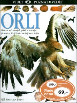 Orli