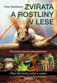 Zvířata a rostliny v lese