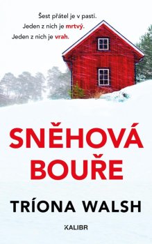 Sněhová bouře