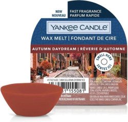 YANKEE CANDLE Autumn Daydream vonný vosk 22g