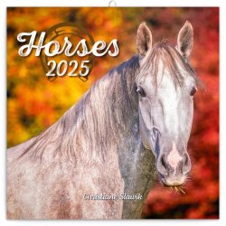 Kalendář 2025 poznámkový: Koně - Christiane Slawik, 30 × 30 cm