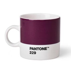 Pantone Hrnek Espresso - Aubergine 229