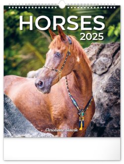 Koně 2025 - nástěnný kalendář