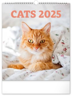 Kočky 2025 - nástěnný kalendář