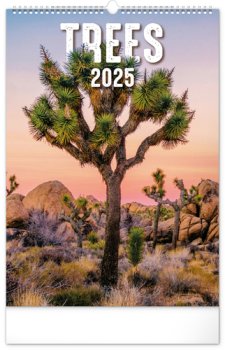 Stromy 2025 - nástěnný kalendář