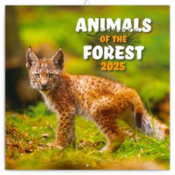 Zvířátka z lesa 2025 - nástěnný kalendář