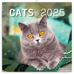 Kočky 2025 - nástěnný kalendář